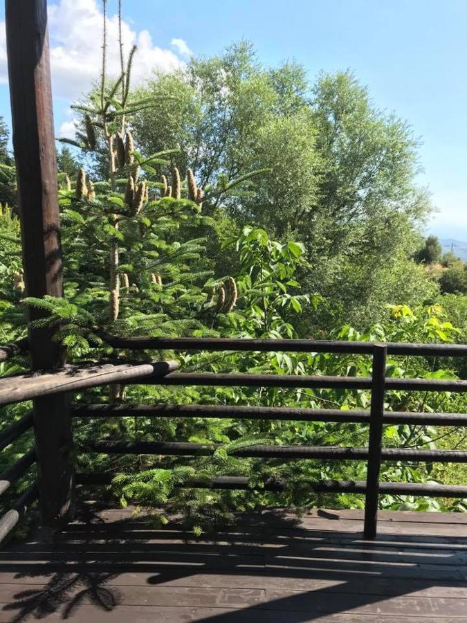 Vathyskia Guesthouse Kato Sinikia Trikalon Exteriör bild
