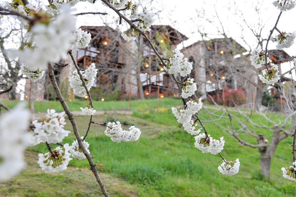 Vathyskia Guesthouse Kato Sinikia Trikalon Exteriör bild