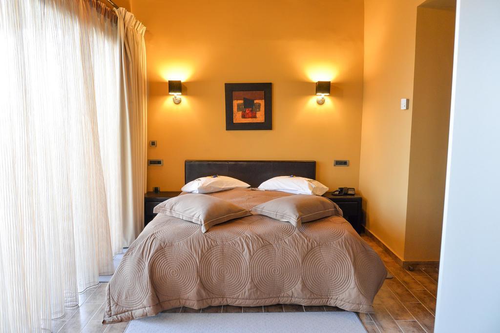 Vathyskia Guesthouse Kato Sinikia Trikalon Rum bild